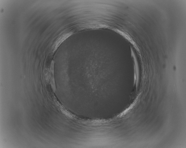 X0000071920889200607281850