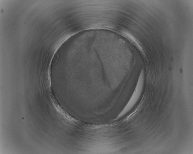 X0000071920892200607281850