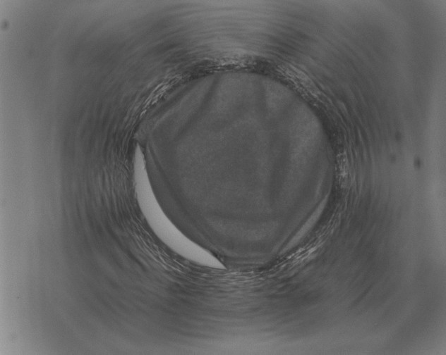 X0000071920916200607281849