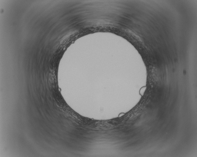 X0000071920918200607281849