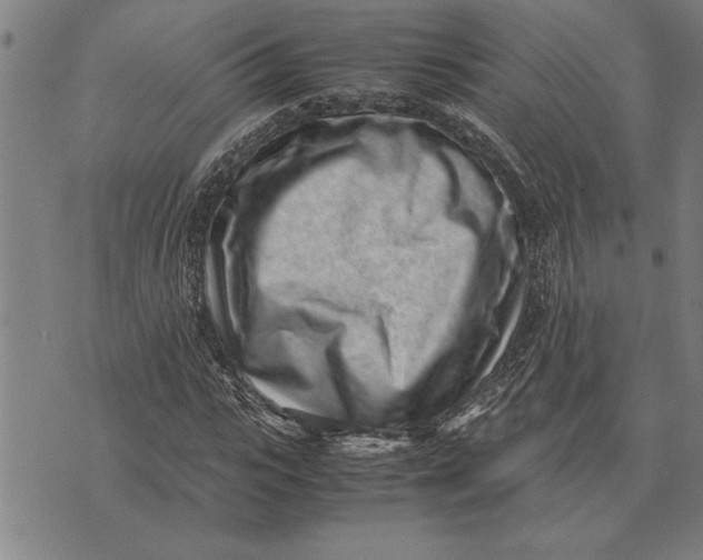 X0000071920919200607281849