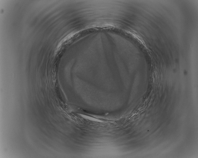 X0000071920920200607281849