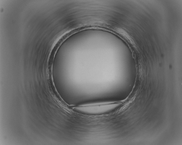 X0000071920924200607281849