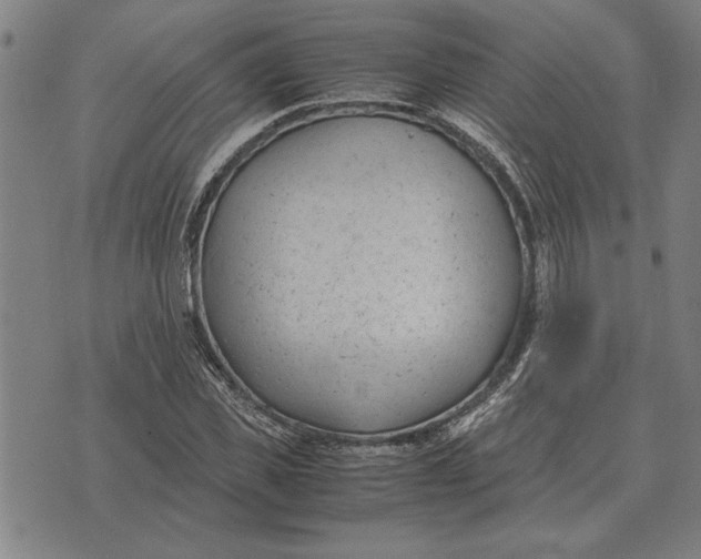 X0000071920925200607281849