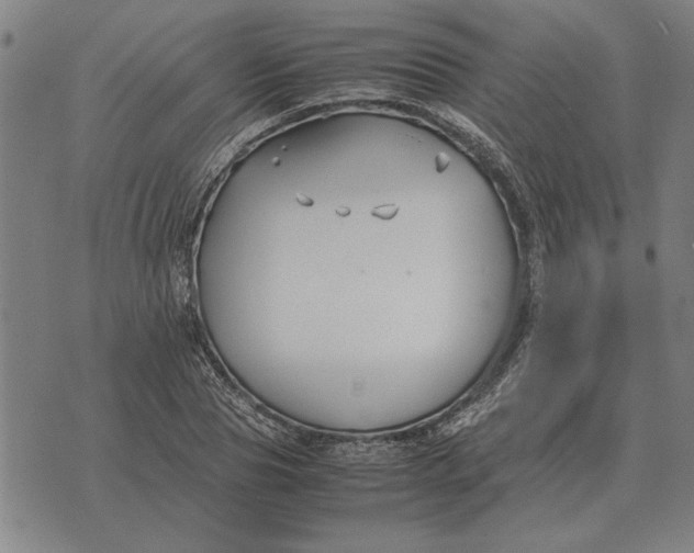 X0000071920929200607281849