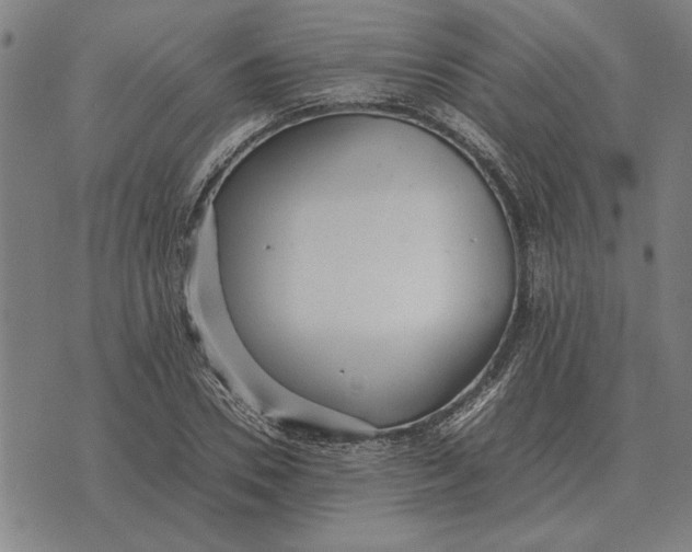 X0000071920930200607281849