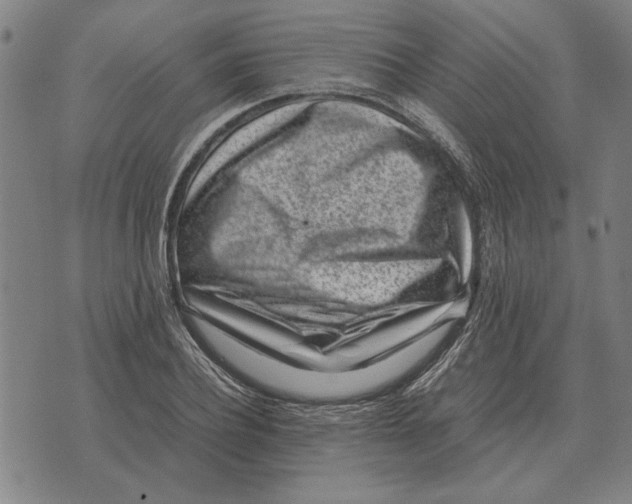 X0000071920932200607281849