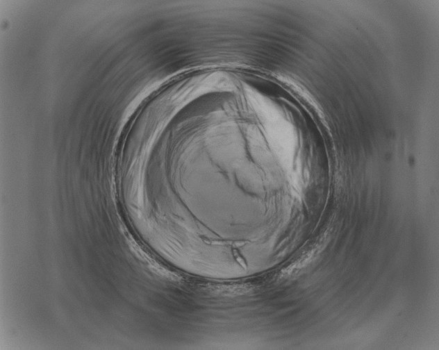 X0000071920941200607281850