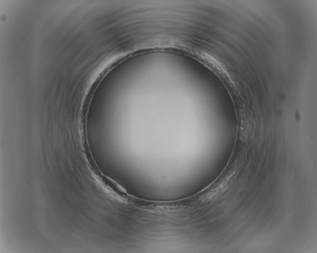 X0000071920942200607281850