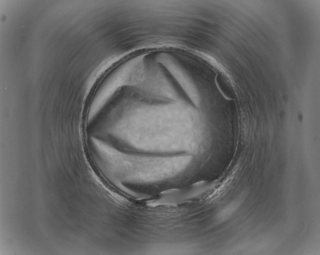 X0000071920943200607281850