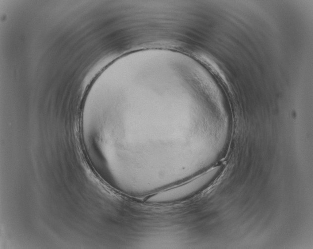 X0000071920952200607281850
