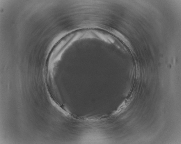 X0000071920958200607281850