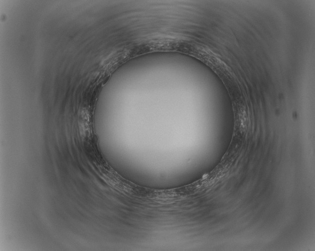 X0000071920964200607281849