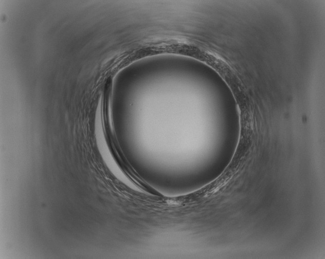 X0000071920965200607281849