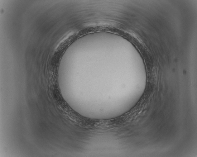 X0000071920967200607281849