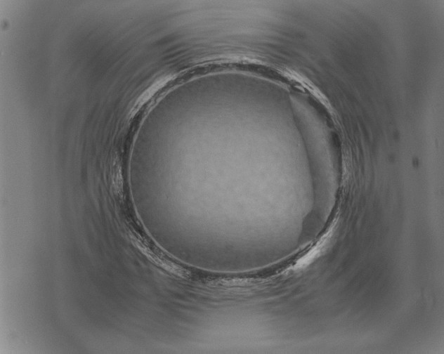 X0000071920969200607281849