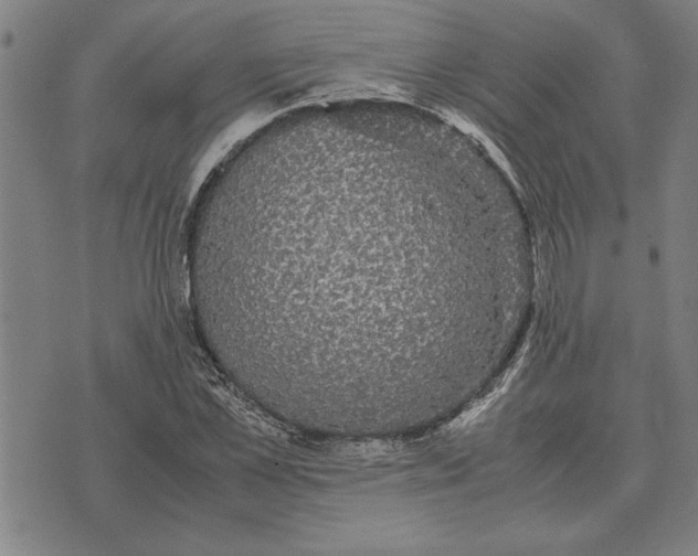 X0000071920973200607281849