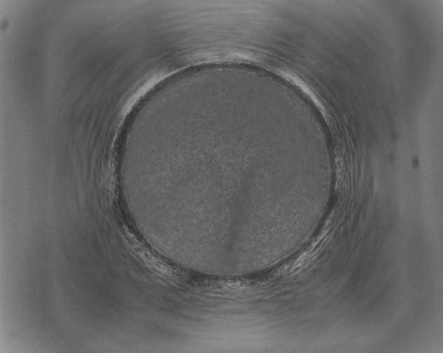 X0000071920975200607281849