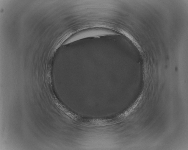 X0000071920977200607281849