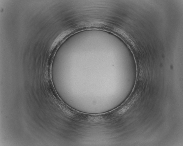 X0000071920978200607281849