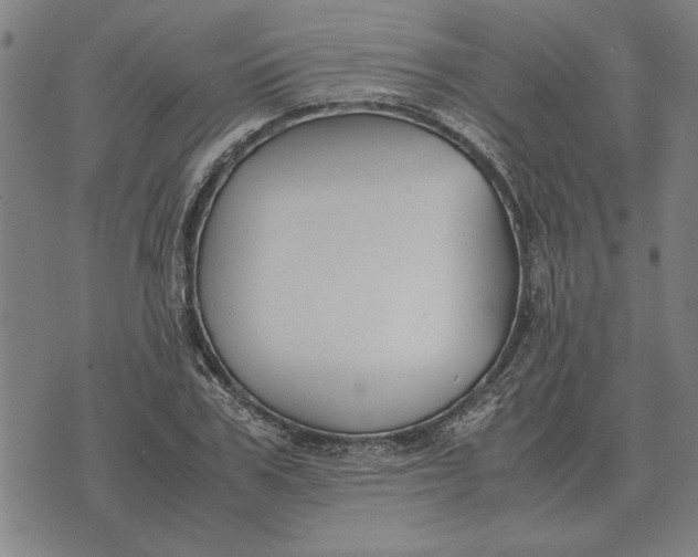 X0000071920979200607281849