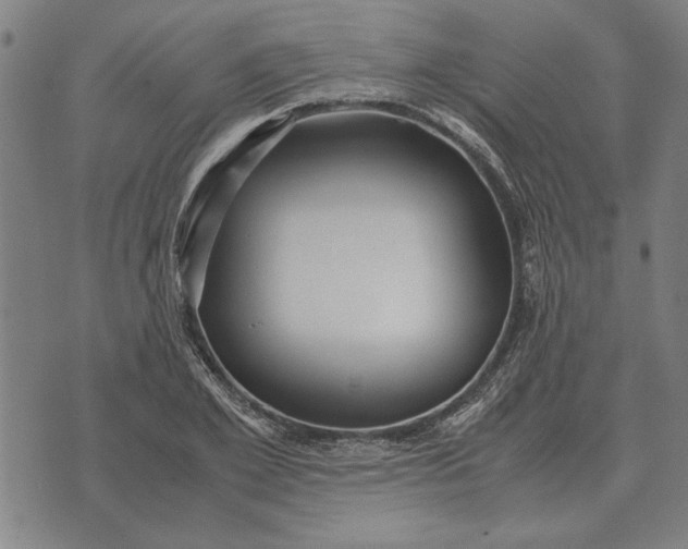 X0000071920981200607281849