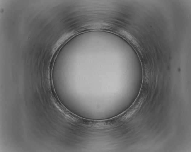 X0000071920986200607281849