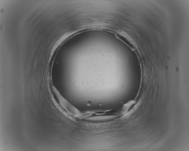 X0000071920989200607281849