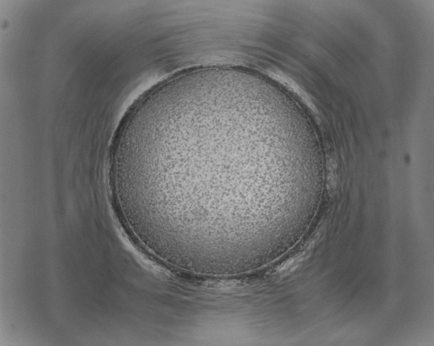 X0000071920991200607281849