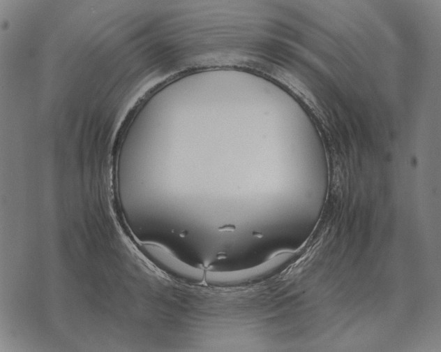 X0000071920992200607281849