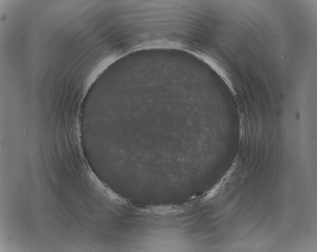 X0000071920998200607281849