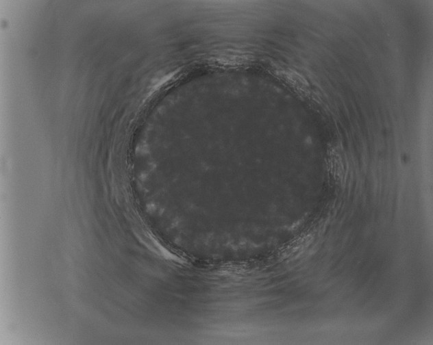 X0000071921009200607281848