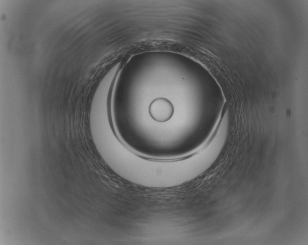 X0000071921014200607281848