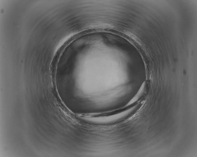 X0000071921022200607281848