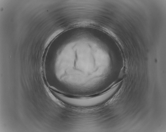 X0000071921042200607281848