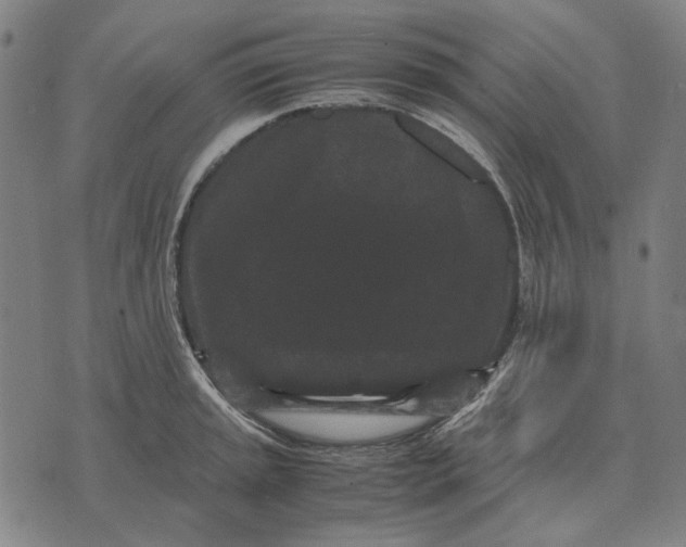 X0000071921045200607281848
