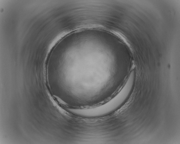 X0000071921046200607281848