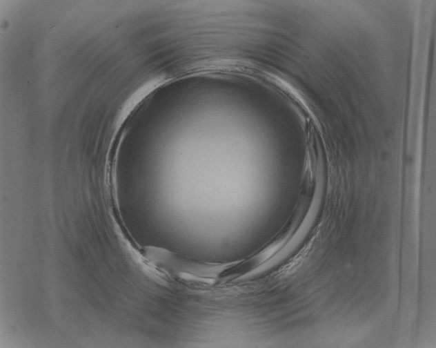 X0000071921050200607281848