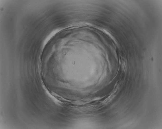X0000071921054200607281848