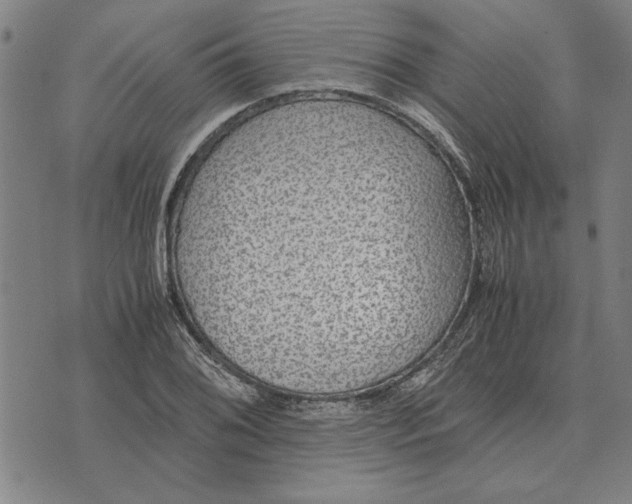 X0000071921076200607281847