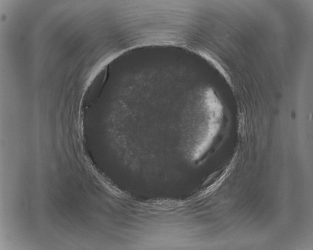 X0000071921077200607281847