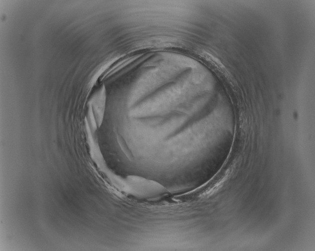 X0000071921081200607281847