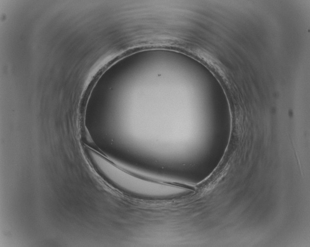 X0000071921085200607281847