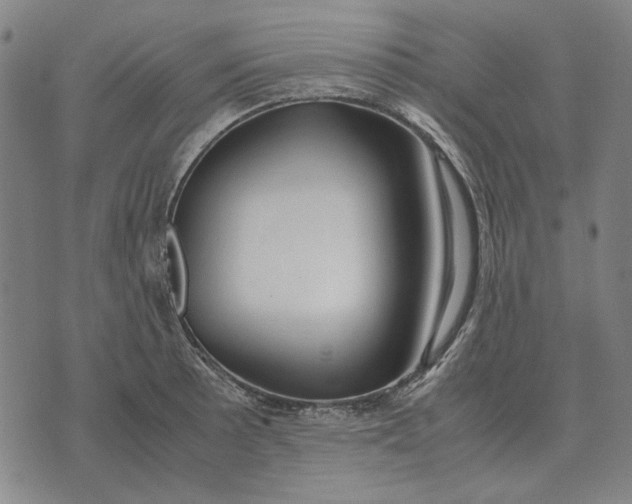 X0000071921089200607281847