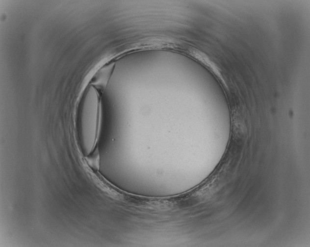 X0000071921091200607281847