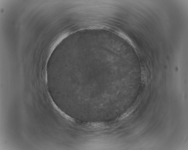 X0000071921095200607281847