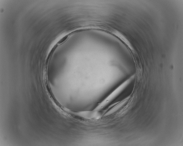 X0000071921101200607281847