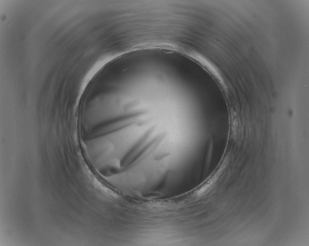 X0000071921102200607281847