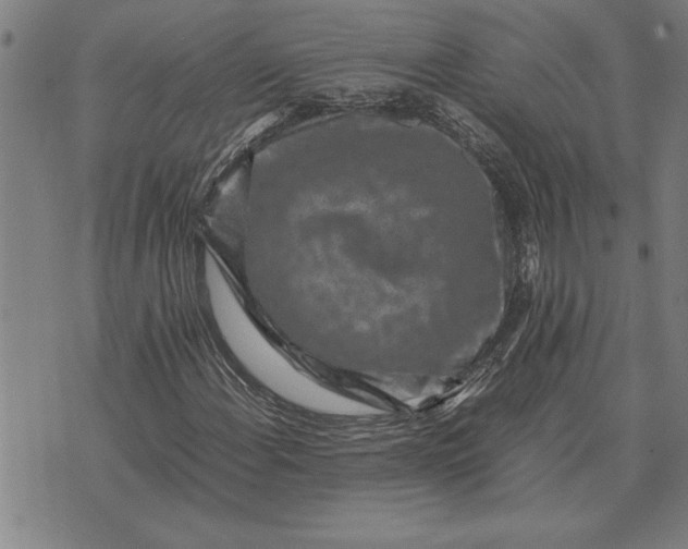 X0000071921108200607281846