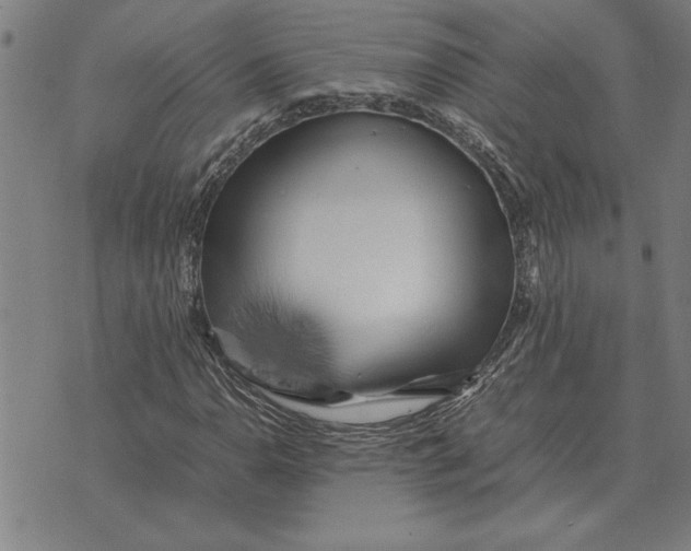 X0000071921110200607281846